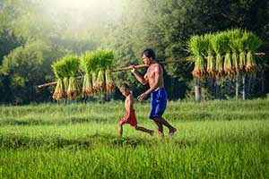 Day 10: From Koh Rong Samloem to Phnom Penh