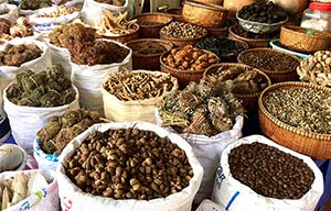 Day 8: Battambang sightseeing