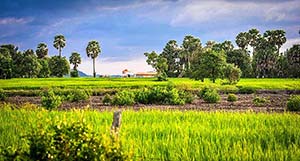 Day 10: Kampot sightseeing